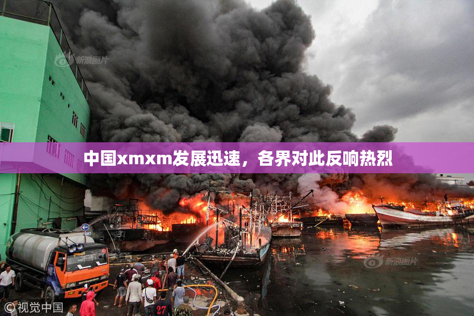 中国xmxm发展迅速，各界对此反响热烈