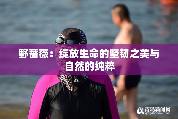 野蔷薇：绽放生命的坚韧之美与自然的纯粹