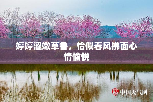 婷婷涩嫩草鲁，恰似春风拂面心情愉悦