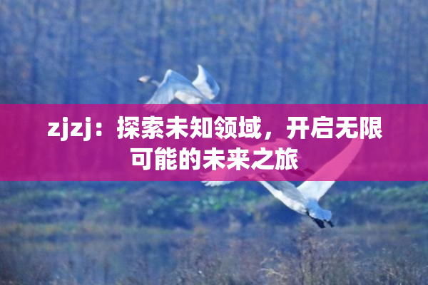 zjzj：探索未知领域，开启无限可能的未来之旅