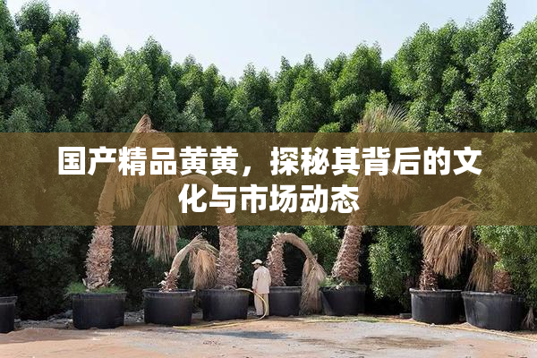 国产精品黄黄，探秘其背后的文化与市场动态
