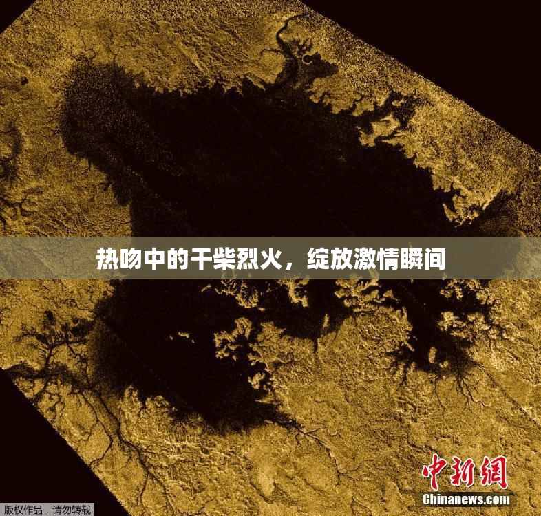 热吻中的干柴烈火，绽放激情瞬间