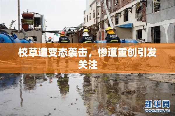 校草遭变态袭击，惨遭重创引发关注