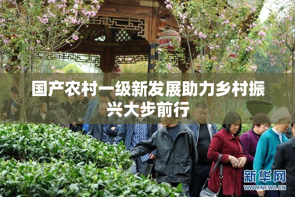 国产农村一级新发展助力乡村振兴大步前行