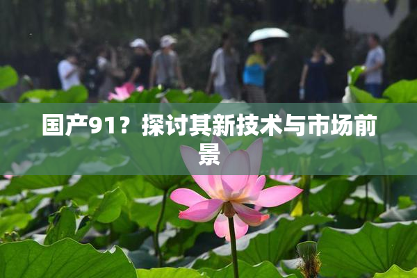 国产91？探讨其新技术与市场前景
