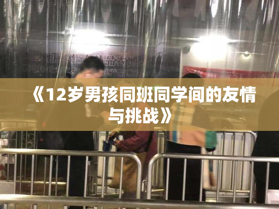《12岁男孩同班同学间的友情与挑战》