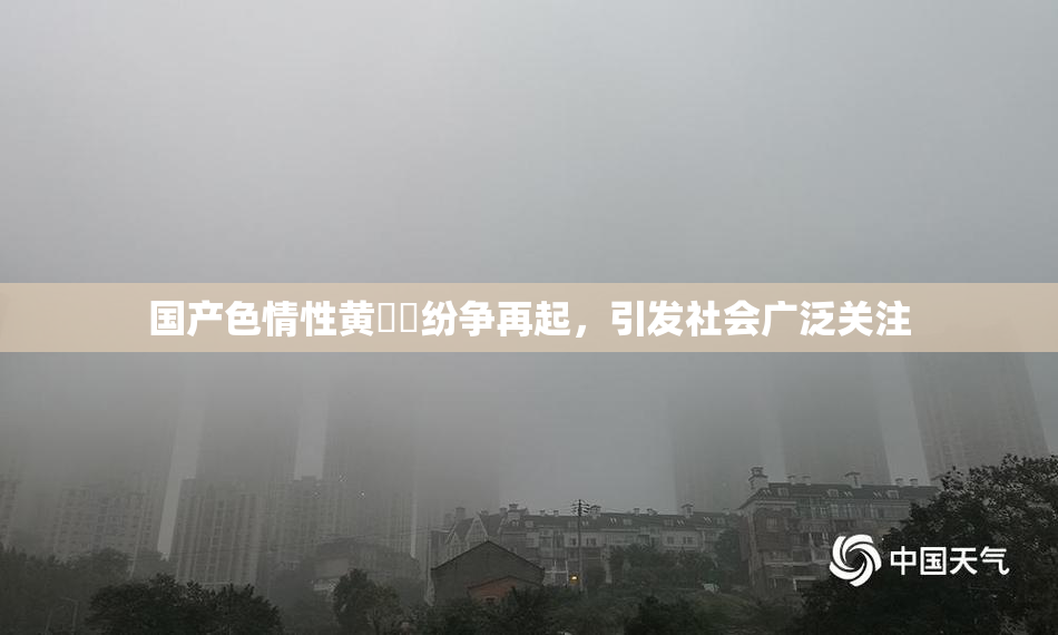 国产色情性黄❌‌纷争再起，引发社会广泛关注