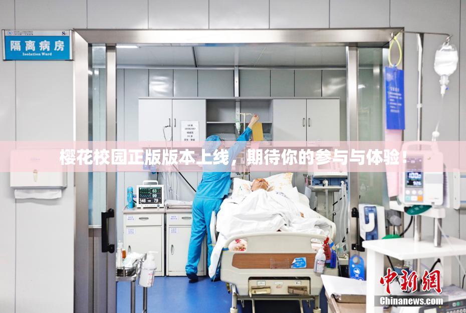 樱花校园正版版本上线，期待你的参与与体验！