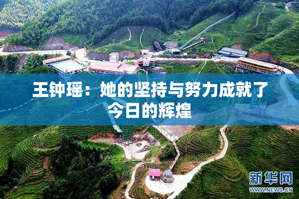 王钟瑶：她的坚持与努力成就了今日的辉煌