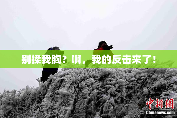 别揉我胸？啊，我的反击来了！