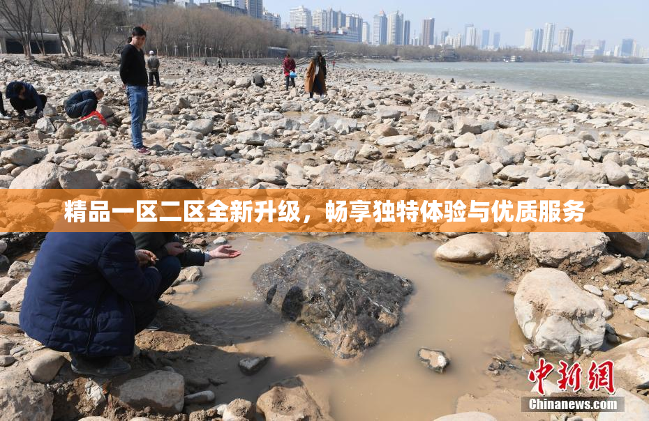 精品一区二区全新升级，畅享独特体验与优质服务