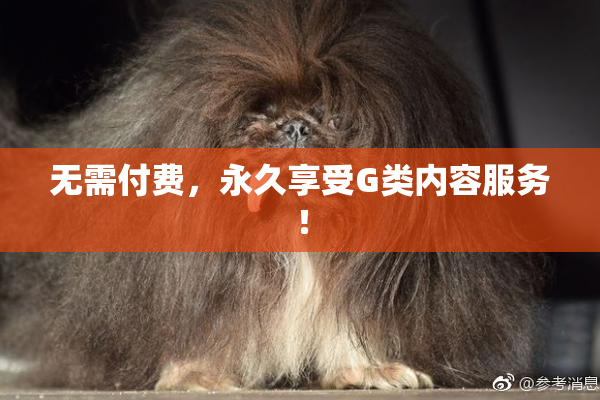 无需付费，永久享受G类内容服务！