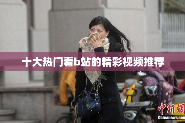 十大热门看b站的精彩视频推荐