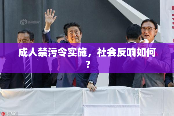 成人禁污令实施，社会反响如何？