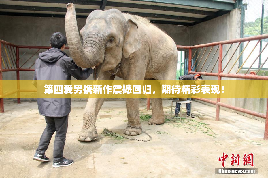第四爱男携新作震撼回归，期待精彩表现！