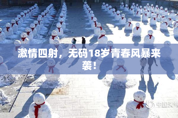 激情四射，无码18岁青春风暴来袭！
