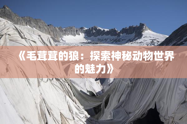 《毛茸茸的狼：探索神秘动物世界的魅力》