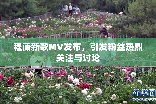 程潇新歌MV发布，引发粉丝热烈关注与讨论