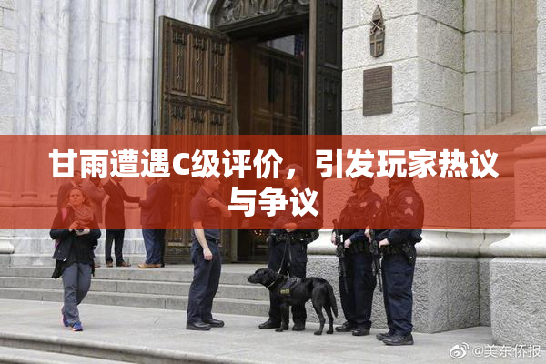 甘雨遭遇C级评价，引发玩家热议与争议
