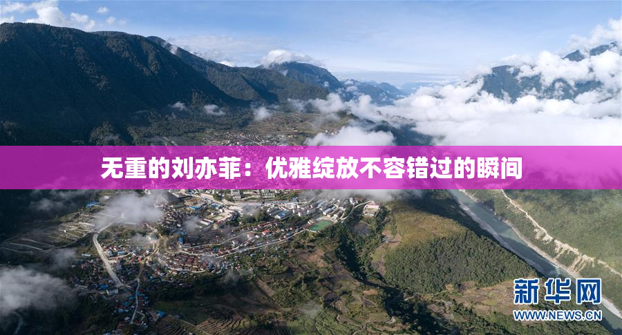 无重的刘亦菲：优雅绽放不容错过的瞬间