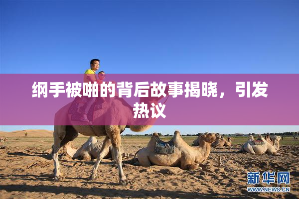 纲手被啪的背后故事揭晓，引发热议
