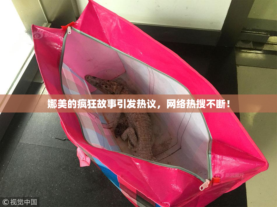 娜美的疯狂故事引发热议，网络热搜不断！
