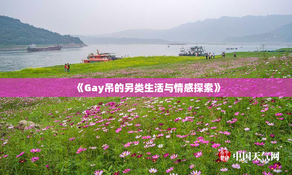 《Gay吊的另类生活与情感探索》