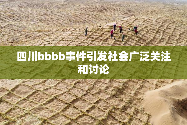 四川bbbb事件引发社会广泛关注和讨论