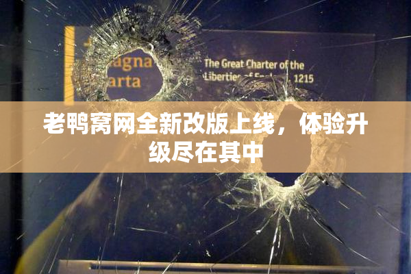 老鸭窝网全新改版上线，体验升级尽在其中