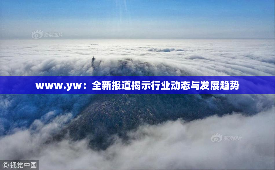 www.yw：全新报道揭示行业动态与发展趋势