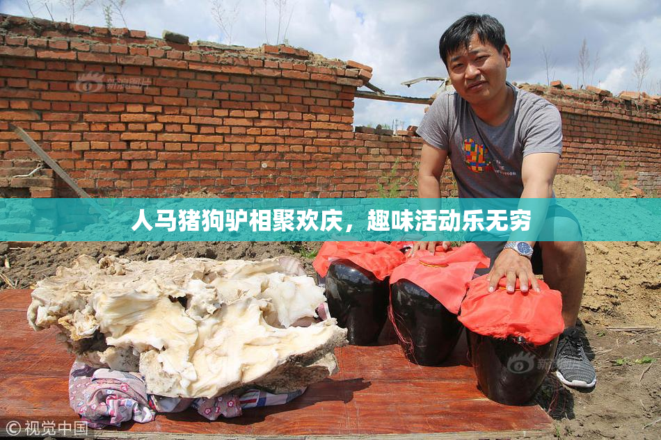 人马猪狗驴相聚欢庆，趣味活动乐无穷