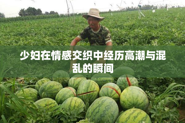 少妇在情感交织中经历高潮与混乱的瞬间