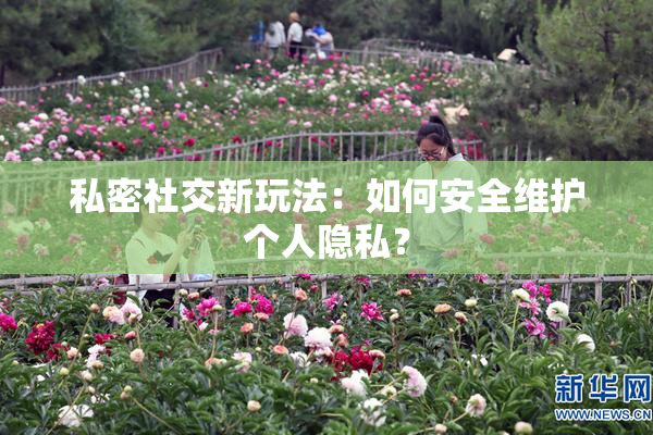 私密社交新玩法：如何安全维护个人隐私？