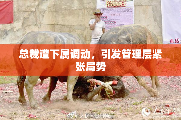 总裁遭下属调动，引发管理层紧张局势