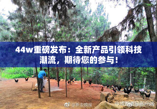 44w重磅发布：全新产品引领科技潮流，期待您的参与！