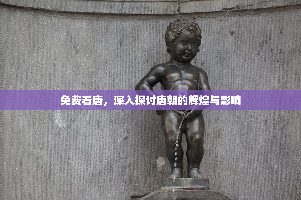 免费看唐，深入探讨唐朝的辉煌与影响
