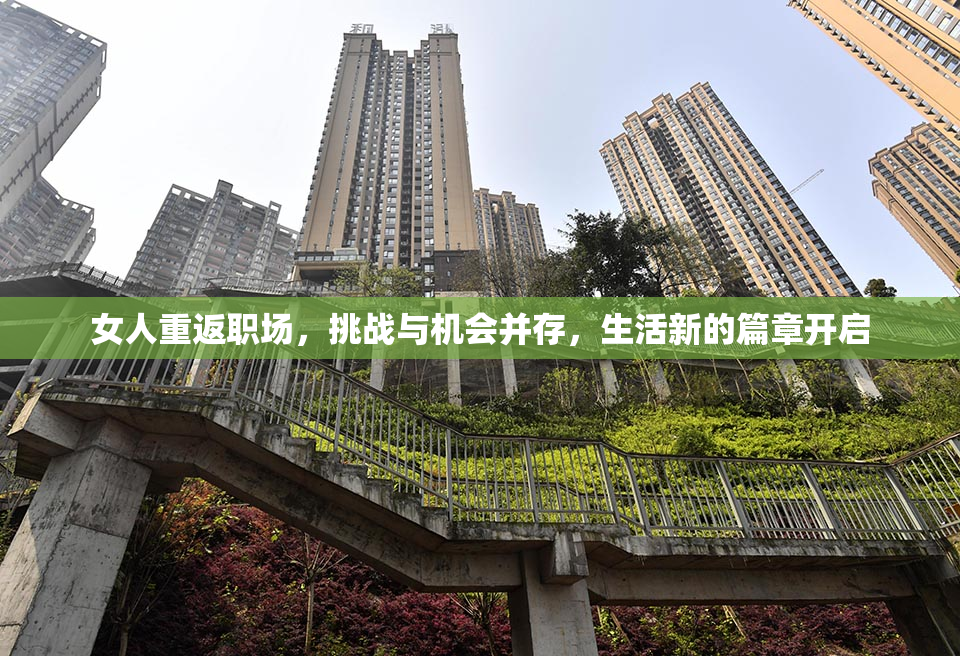 女人重返职场，挑战与机会并存，生活新的篇章开启