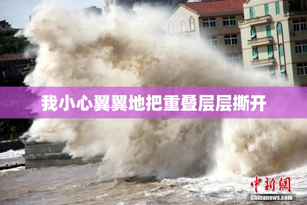 我小心翼翼地把重叠层层撕开