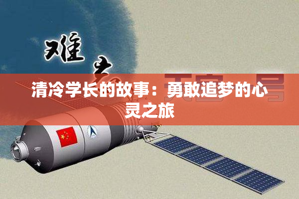 清冷学长的故事：勇敢追梦的心灵之旅