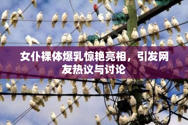 女仆裸体爆乳惊艳亮相，引发网友热议与讨论