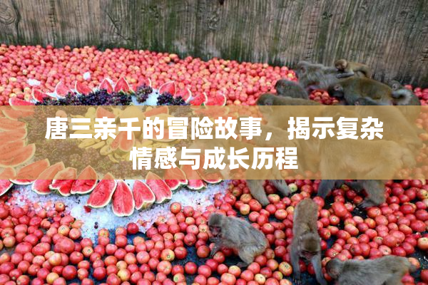 唐三亲千的冒险故事，揭示复杂情感与成长历程