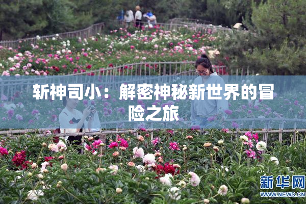斩神司小：解密神秘新世界的冒险之旅