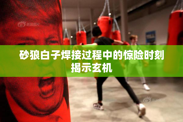 砂狼白子焊接过程中的惊险时刻揭示玄机