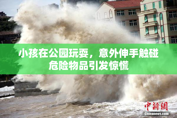 小孩在公园玩耍，意外伸手触碰危险物品引发惊慌