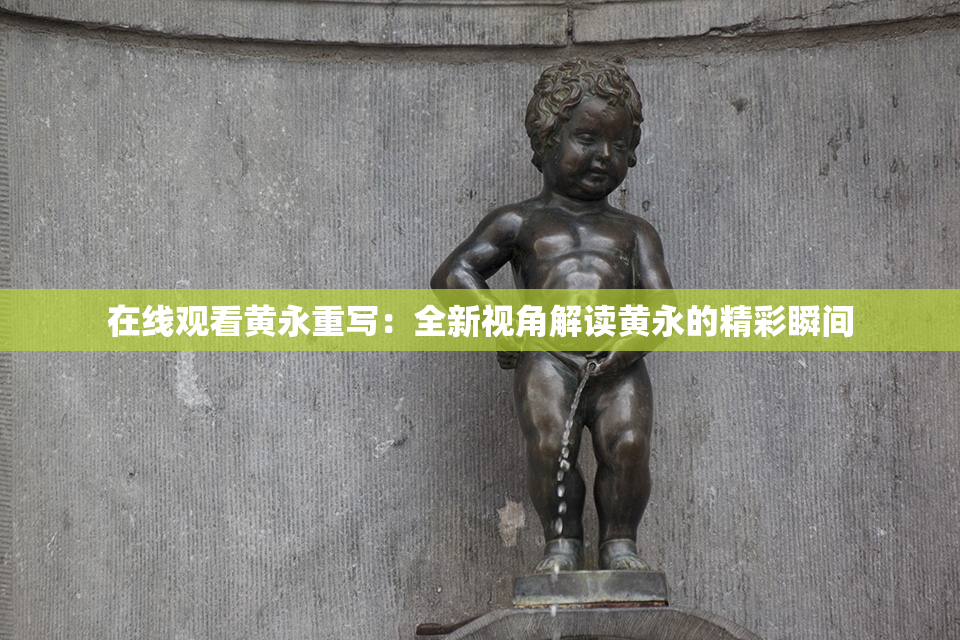在线观看黄永重写：全新视角解读黄永的精彩瞬间