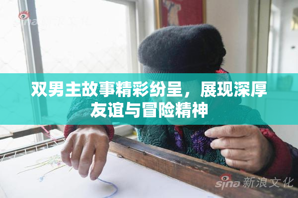 双男主故事精彩纷呈，展现深厚友谊与冒险精神