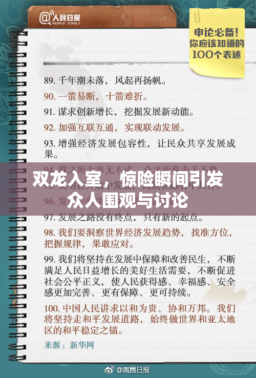 双龙入室，惊险瞬间引发众人围观与讨论