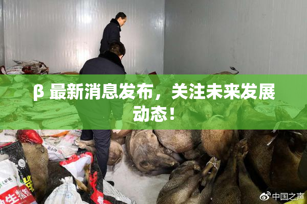 β 最新消息发布，关注未来发展动态！