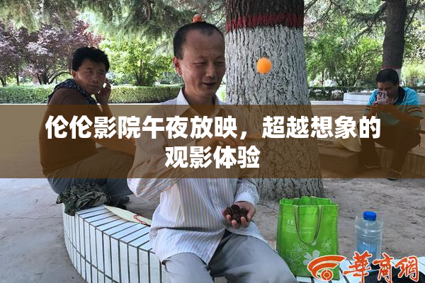伦伦影院午夜放映，超越想象的观影体验