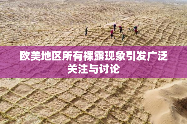 欧美地区所有裸露现象引发广泛关注与讨论